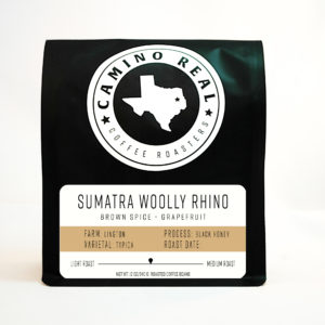 Sumatra Woolly Rhino